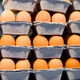 Illustration for article titled The Incredible Inedible Egg